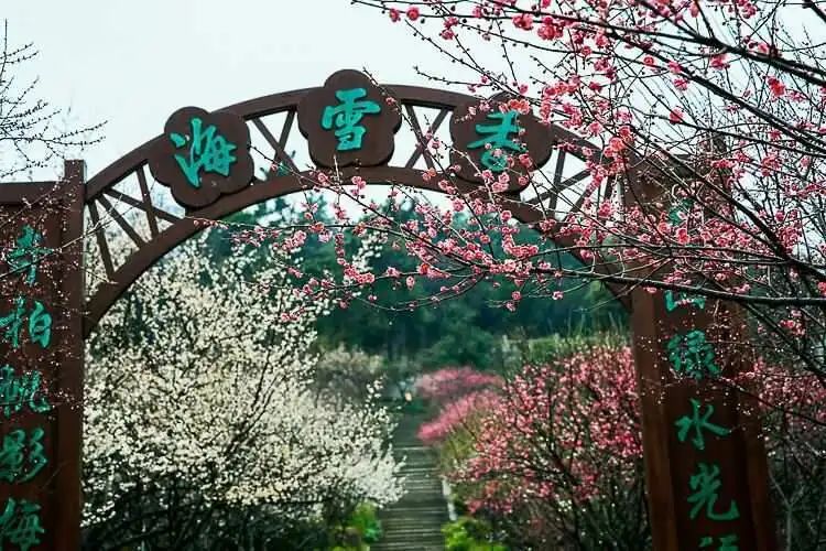 走，徒步去~(圖8)