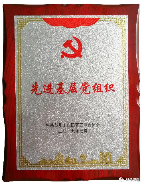 榮耀加冕！【科佳自動(dòng)化】支部榮獲2019年度園區(qū)先進(jìn)基層黨組織及首批星級(jí)黨組織殊榮(圖2)