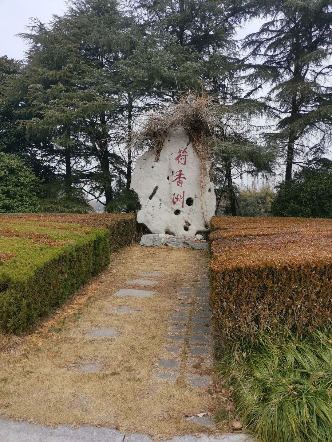 科佳誠瑞年底溫馨之旅，共賞美景促團(tuán)結(jié)(圖7)