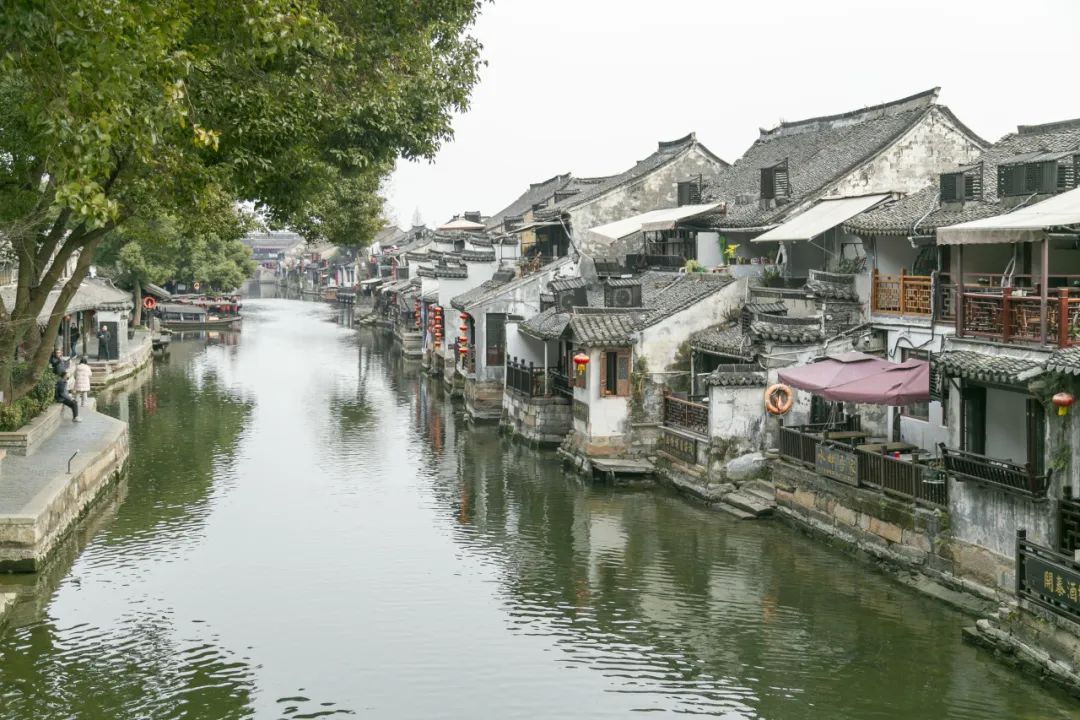 科佳年度旅行丨邂逅暖冬，解鎖歡樂密碼(圖59)